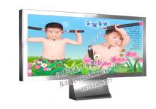 綠化帶燈箱-綠化帶廣告燈箱ZT-L-30